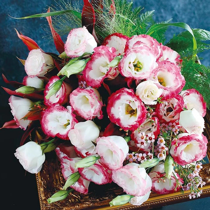 🔥 Последен ден на разпродажбата 💝 Розова еустома без бодли 💐 Семена от лизиантус