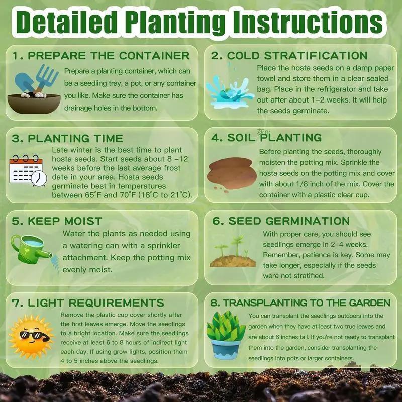 🌌 Висококачествени, редки семена на Хоста 🌿 – Растение, устойчиво на сянка