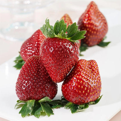 Семена от ягоди Black Pearl