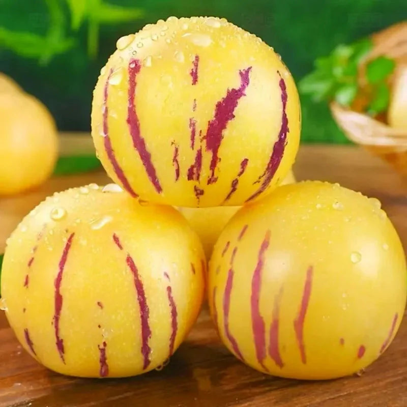 🌿✨Семена от женшен: Открийте силата на природата във вашата градина! 🔥