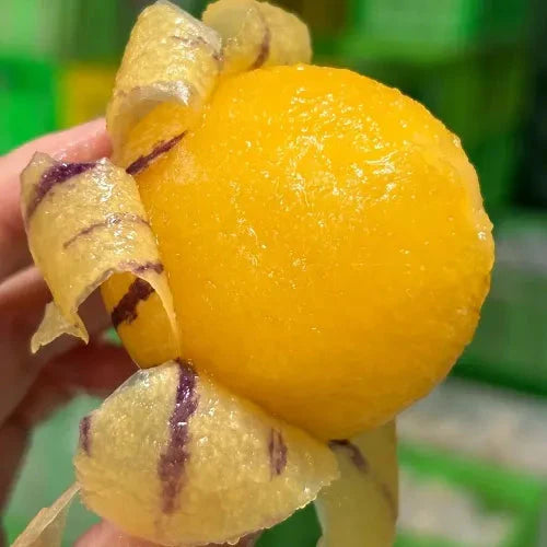 🌿✨Семена от женшен: Открийте силата на природата във вашата градина! 🔥