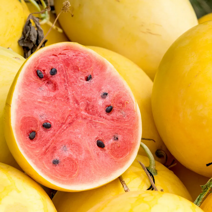 🌱Семена от бонсай пъпеш 🍉Lazy Plant Семена от пъпеш