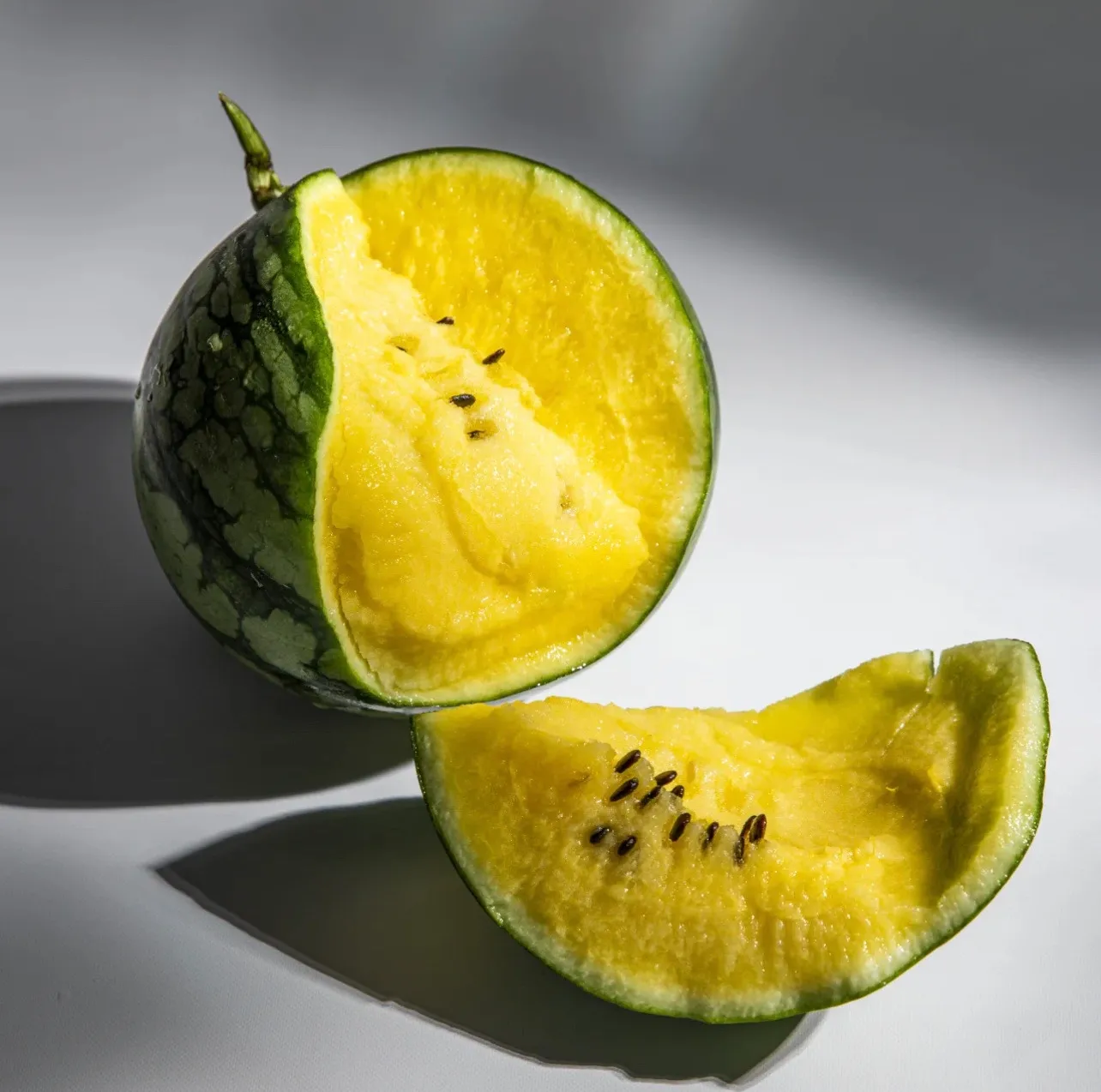 🌱Семена от бонсай пъпеш 🍉Lazy Plant Семена от пъпеш