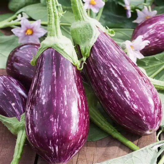 🍆 Семена от патладжан Нубия – райе патладжан