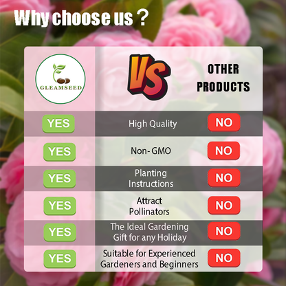 ❄️Зимна разпродажба на цветя🌸Семена от цветя на камелия – 8 романтични цвята, зимна красота в разцвет