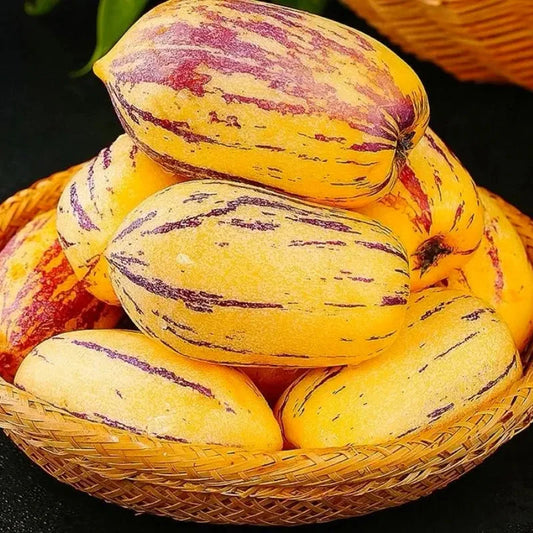 🌿✨Семена от женшен: Открийте силата на природата във вашата градина! 🔥