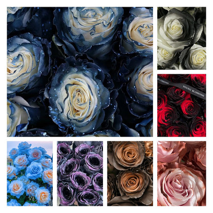 🌹 Еквадорски рози – редки рози