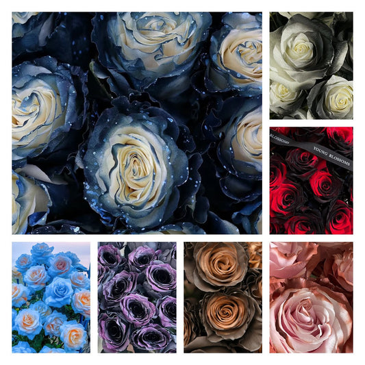 🌹 Еквадорски рози – редки рози