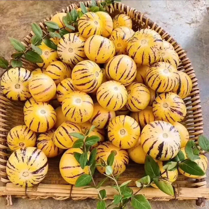 🌿✨Семена от женшен: Открийте силата на природата във вашата градина! 🔥