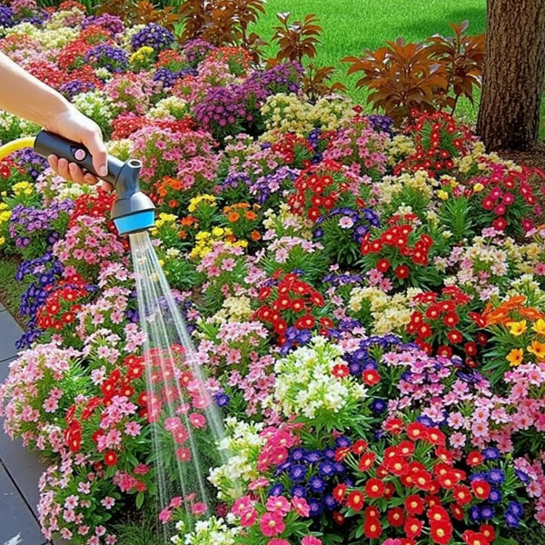 🌺Смес от многогодишни цветя за всички сезони