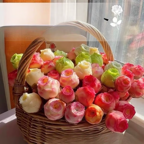 🌱 Рядка сукулентна роза – устойчива на студ и лесна за отглеждане🌹