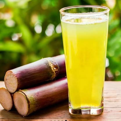 🌿🍬 Семена от захарна тръстика – Подсладете градината и живота си с ниска поддръжка, хибрид с високо съдържание на захар! 🌱