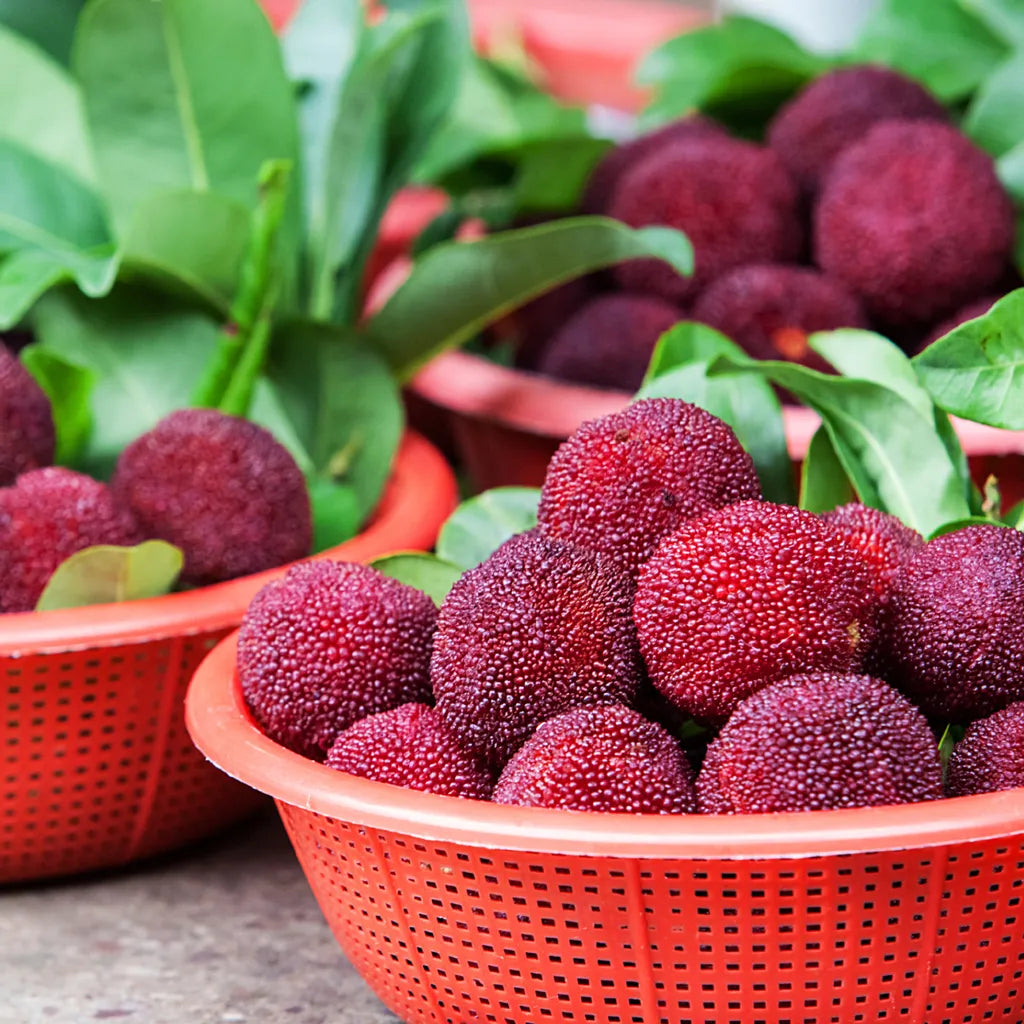 Гигантска боровинка: Размер на топка за пинг-понг, ⭐Смесен вкус на ягоди и череши