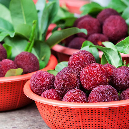 Гигантска боровинка: Размер на топка за пинг-понг, ⭐Смесен вкус на ягоди и череши