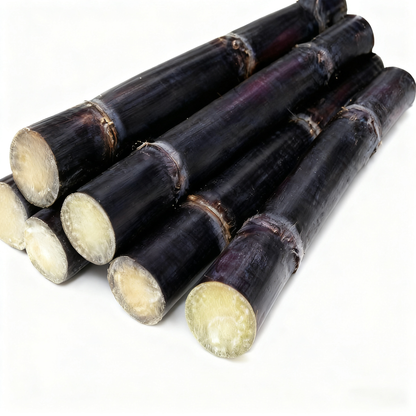 🌿🍬 Семена от захарна тръстика – Подсладете градината и живота си с ниска поддръжка, хибрид с високо съдържание на захар! 🌱