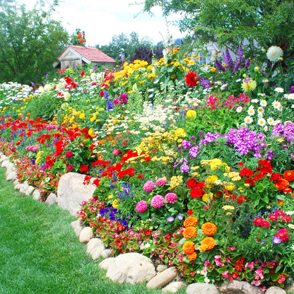 🔥 Semená kvetov štyroch ročných období – viac ako 60 zmiešaných trvácnych odrôd 🌸