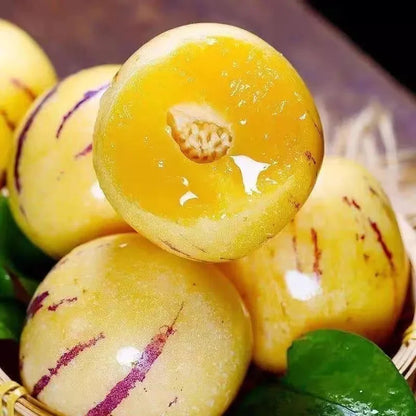 🌿✨Семена от женшен: Открийте силата на природата във вашата градина! 🔥