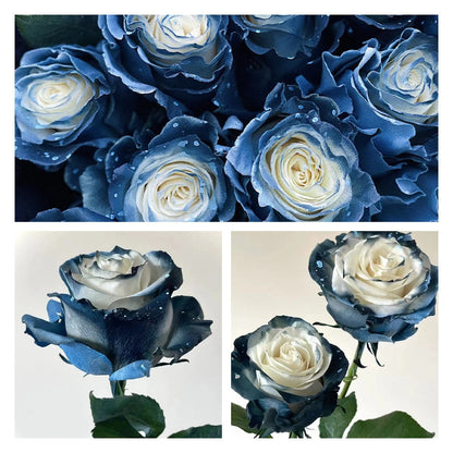 🌹 Еквадорски рози – редки рози