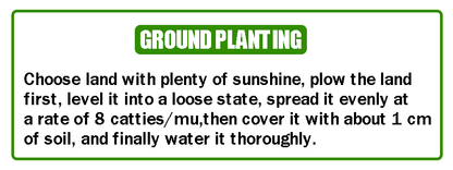 🔥 Semená kvetov štyroch ročných období – viac ako 60 zmiešaných trvácnych odrôd 🌸