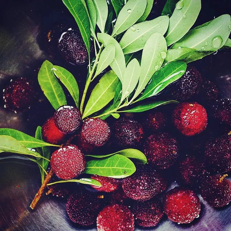 Гигантска боровинка: Размер на топка за пинг-понг, ⭐Смесен вкус на ягоди и череши