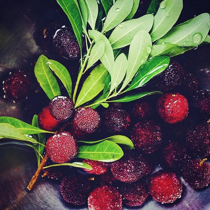 Гигантска боровинка: Размер на топка за пинг-понг, ⭐Смесен вкус на ягоди и череши