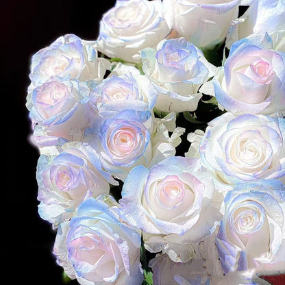 🌹 Разпродажба на цветя 🔥 Редки розови семена! 🌼