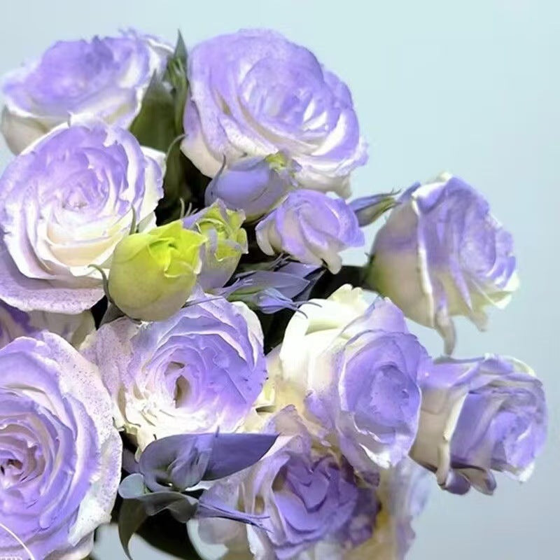 🌹 Разпродажба на цветя 🔥 Редки розови семена! 🌼