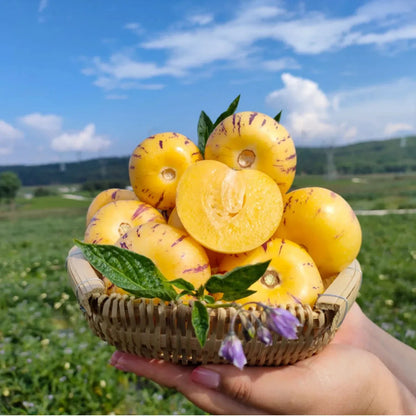 🌿✨Семена от женшен: Открийте силата на природата във вашата градина! 🔥