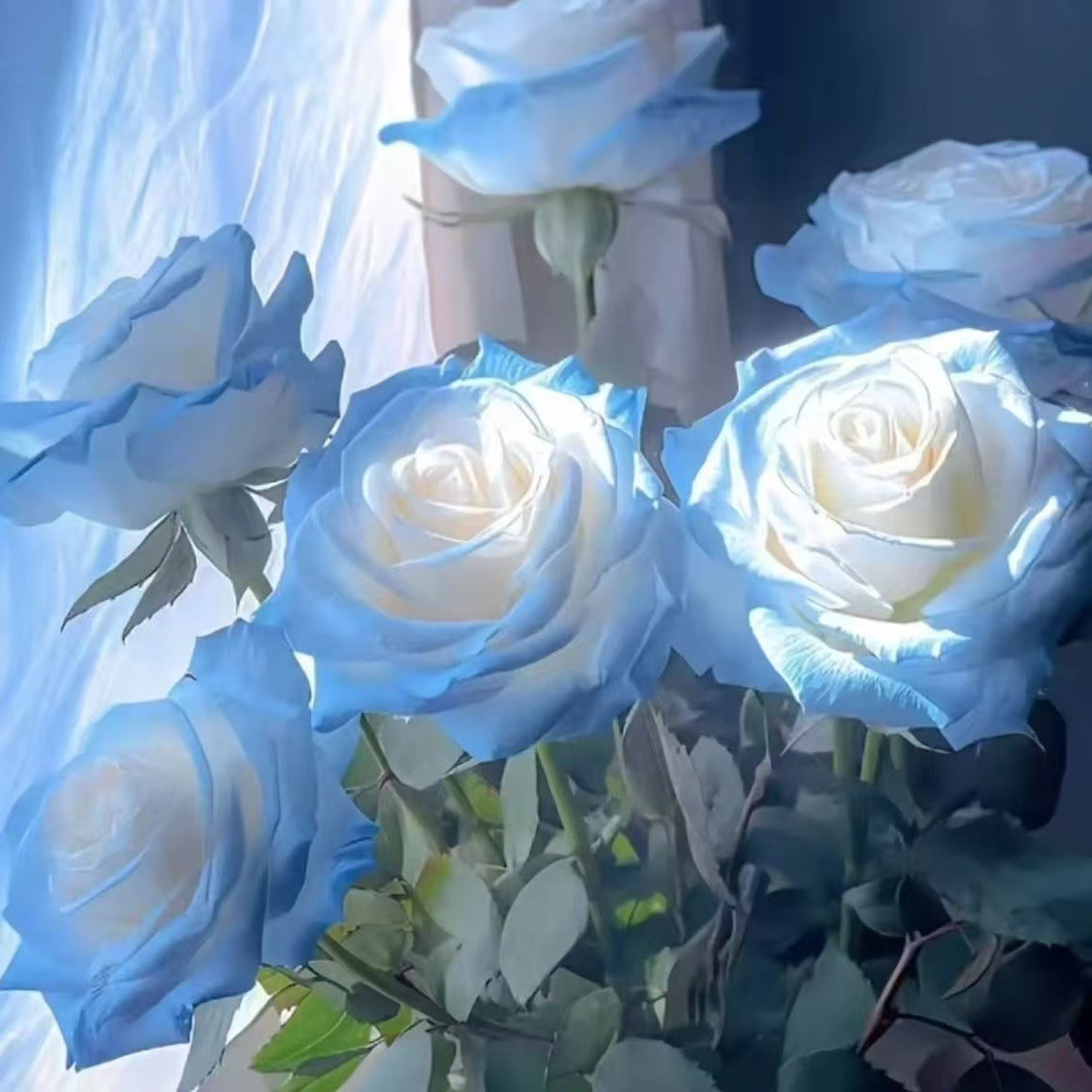 🌹 Разпродажба на цветя 🔥 Редки розови семена! 🌼