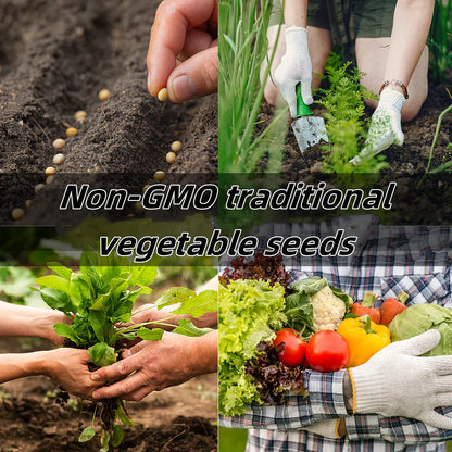 🌱 Комплект за съхранение на семена от зеленчуци – 35 наследствени сорта