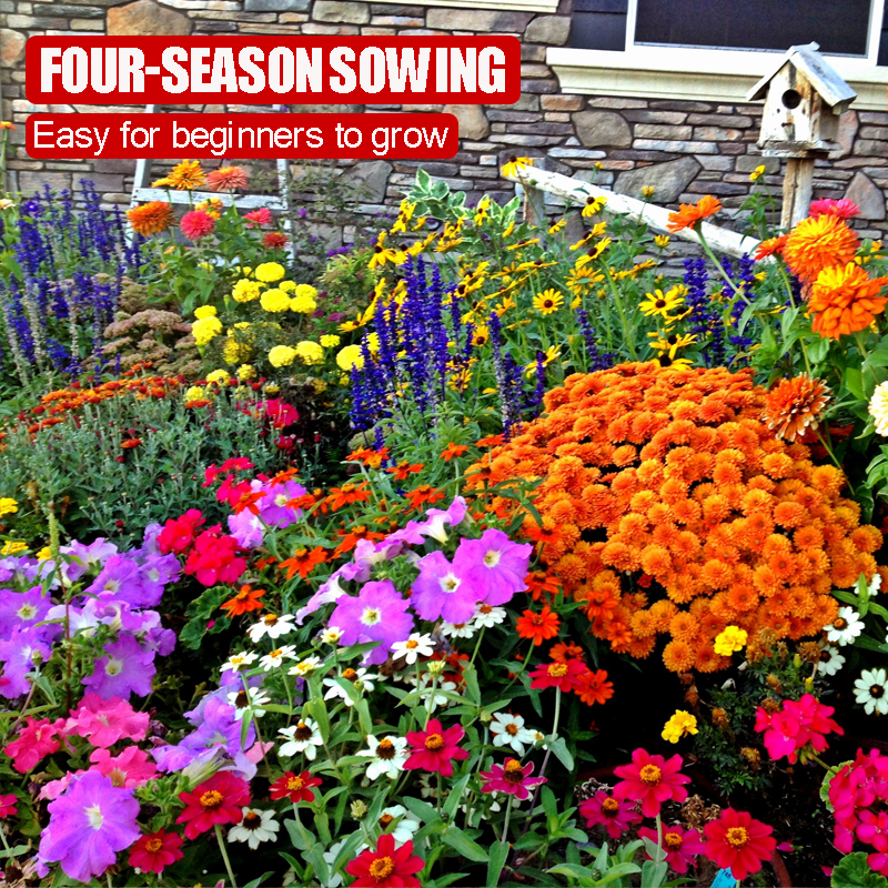 🔥 Semená kvetov štyroch ročných období – viac ako 60 zmiešaných trvácnych odrôd 🌸