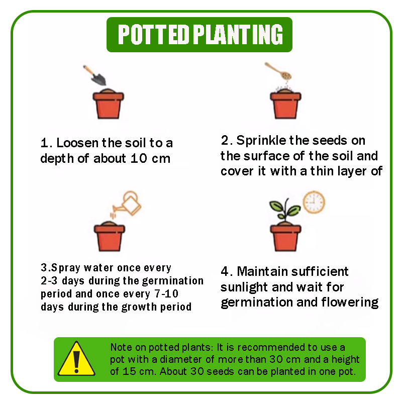 🔥 Semená kvetov štyroch ročných období – viac ako 60 zmiešaných trvácnych odrôd 🌸