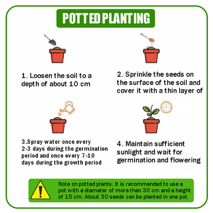 🔥 Semená kvetov štyroch ročných období – viac ako 60 zmiešaných trvácnych odrôd 🌸