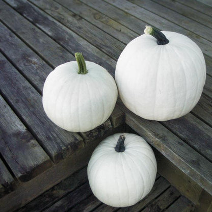 Тиквен захарен памук