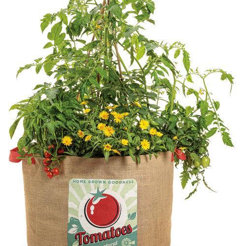 Изкусителни домати - Добросърдечни