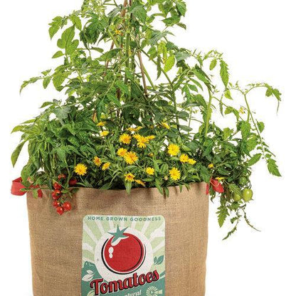 Изкусителни домати - Добросърдечни