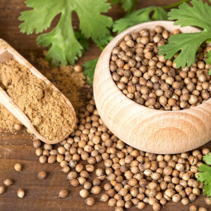 Семена от кориандър