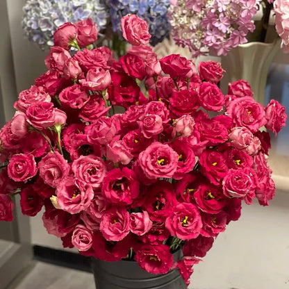 🔥 Последен ден на разпродажбата 💝 Розова еустома без бодли 💐 Семена от лизиантус