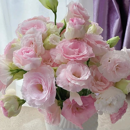 🔥 Последен ден на разпродажбата 💝 Розова еустома без бодли 💐 Семена от лизиантус