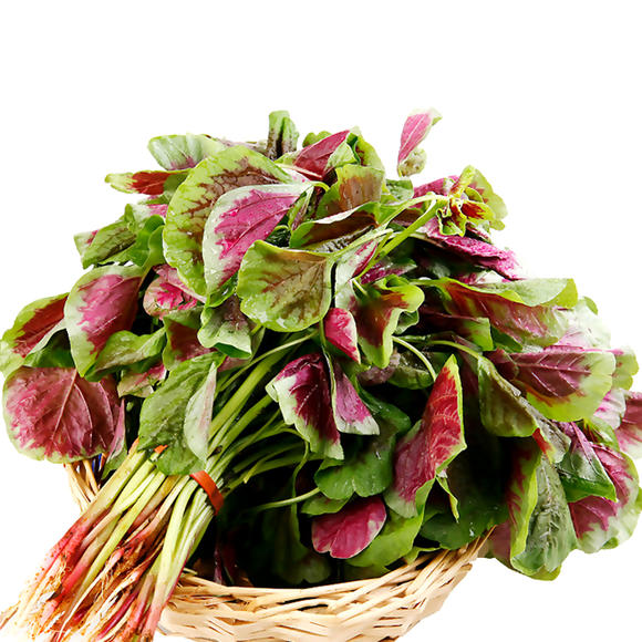 Семена от едролист червен амарант