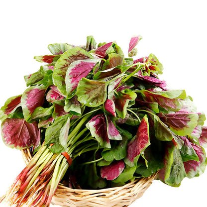 Семена от едролист червен амарант